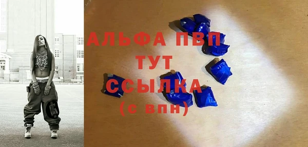 дживик Вязьма
