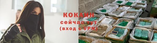 шишки Волосово