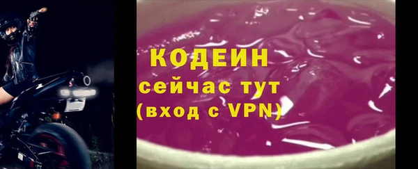 дживик Вязьма