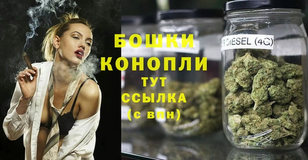 дживик Вязьма