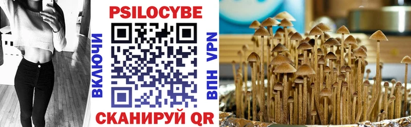 Псилоцибиновые грибы прущие грибы  Павловский Посад 