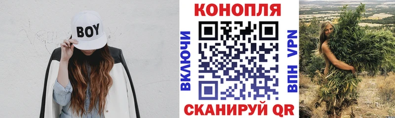 ссылка на мегу ссылки Павловский Посад Бошки Шишки White Widow